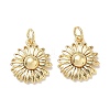 Brass Pendants KK-D289-20G-1