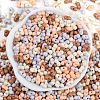 Glass Seed Beads SEED-K010-03B-3