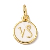 Real 18K Gold Plated Brass Enamel Charms KK-L216-001G-G-2