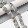 Natural Labradorite Beads Strands G-K359-B17-01-2