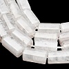 Natural Agate Beads Strands GG-L001-H01-02J-3