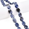 Natural Blue Spot Jasper Beads Strands G-M206-40-1