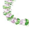 Transparent Glass Beads Strands GLAA-B021-04G-3