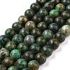 Natural African Turquoise(Jasper) Beads Strands TURQ-G037-10mm-5