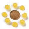 Transparent Acrylic Beads Caps PL543-2-4