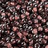 Glass Seed Beads SEED-A032-06O-3
