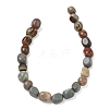 Natural Alashan Agate Beads Strands G-C286-A10-4