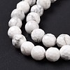 Natural Howlite Beads Strands G-E571-29A-5