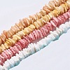 Natural Sea Shell Beads Strands BSHE-K012-08-01-1