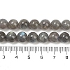 Natural Labradorite Beads Strands G-G448-8mm-04A-2