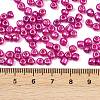 6/0 Glass Seed Beads E06900F4-3
