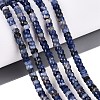 Natural Sodalite Beads Strands G-Q606-46A-03-1