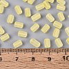 FGB Frosted Transparent Glass Seed Beads SEED-N013-05A-02-4