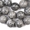 Natural Map Stone Beads Strands G-L648-A05-16mm-5