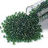 TOHO Round Seed Beads SEED-JPTR08-0242-1