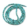 Natural HuBei Turquoise Beads Strands G-B130-A01-01-5