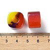 Resin European Large Hole Beads RESI-U009-02A-01-3