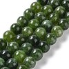 Dyed Natural Malaysia Jade Beads Strands G-G021-02B-13-1