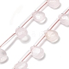 Natural Rose Quartz Beads Strands G-Q167-A05-01-1