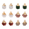 12Pcs 6 Style Natural Gemstone Charms G-FW0001-24-1