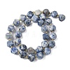 Natural Blue Spot Jasper Beads Strands G-U023-A05-01-3