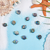 12Pcs Natural Abalone Shell/Paua Shell Flat Round Connector Charms PALLOY-WH00010-2