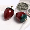 Alloy Resin Big Pendants RESI-S022-01A-1
