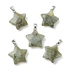 Natural Labradorite Pendants GG-K002-10G-1