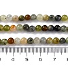 Natural New Jade Beads Strands LS-G-F591-16-5MM-5