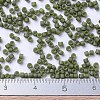 MIYUKI Delica Beads SEED-X0054-DB0391-4