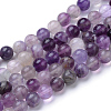 Natural Fluorite Beads Strands G-T055-10mm-14-1