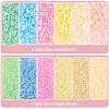 6000Pcs 12 Style Glass Seed Beads SEED-PH0002-13-4