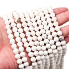 Round Natural Magnesite Beads Strands G-M138-42-A-2