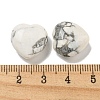 Natural Howlite Beads G-P531-A09-01-3