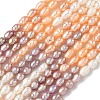 Natural Cultured Freshwater Pearl Beads Strands PEAR-C004-14A-2