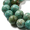 Natural Peruvian Turquoise(Jasper) Beads Strands G-A219-A05-02-3