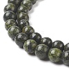 Natural Serpentine/Green Lace Stone Beads Strands X-G-S259-15-6mm-1-3