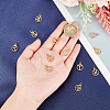 SUPERFINDINGS 12Pcs 12 Style Brass Charms KK-FH0004-40-3