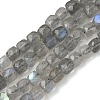 Natural Labradorite Beads Strands G-B168-B07-4x4mm-2