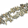 Natural Dalmatian Jasper Beads Strands X-G-S312-09-1