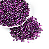 Transparent Inside Colours Glass Seed Beads SEED-T007-19A-04-3