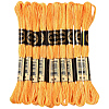 10 Skeins 6-Ply Polyester Embroidery Floss OCOR-CY0004-38G-1