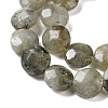 Natural Labradorite Beads Strands G-K357-B03-01-4