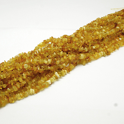 Natural Amber Chip Beads Strands X-G-E333-01B-1