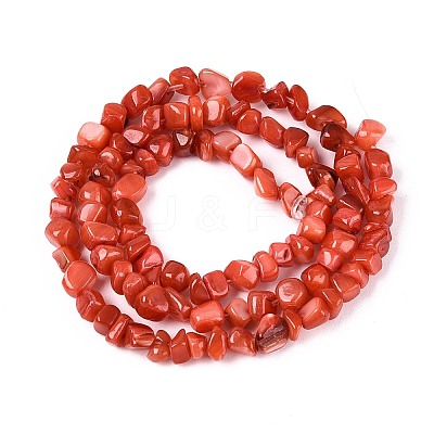 Natural Freshwater Shell Beads Strands SHEL-N037-04D-1