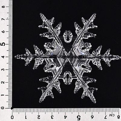 Transparent Acrylic Connector Charms TACR-T028-06A-1