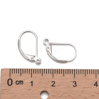 925 Sterling Silver Leverback Earring Findings LS-STER-T002-227S-1