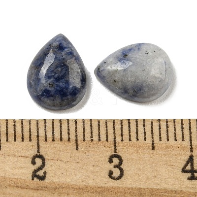 Natural Blue Spot Jasper Cabochons G-Q173-02C-18-1