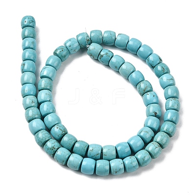 Natural Magnesite Beads Strands G-P598-C01-02A-1