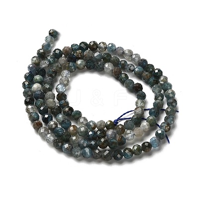 Natural Apatite Beads Strands LS-G-RM2025-A18-3mm-A-1